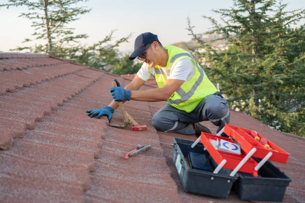 Best Roof Gutter Cleaning  in Evendale, OH